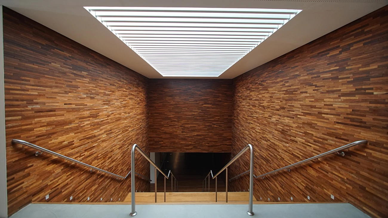 INSTITUTO LING